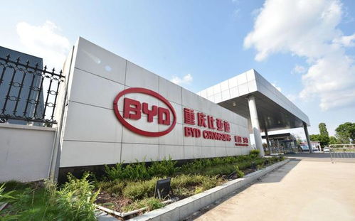 走進(jìn)弗迪電池重慶工廠 解密比亞迪刀片電池與重慶軟件開發(fā)的雙重驅(qū)動(dòng)